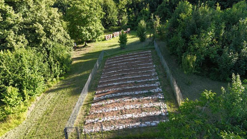 Vue aérienne des vignes de Bethléem
